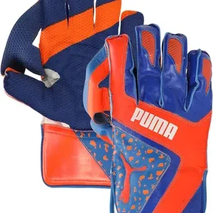 Men's Future 1 Cricket Wicket Keeping Gloves - Optimal Protection & Grip