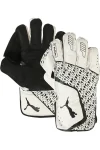 Men's Future 3 Cricket Wicket Keeping Gloves | Durable & Secure Fit