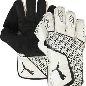 Men's Future 3 Cricket Wicket Keeping Gloves | Durable & Secure Fit